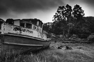 Beached at Nick's Cove-2418.jpg Beached at Nick's Cove-2418.jpg